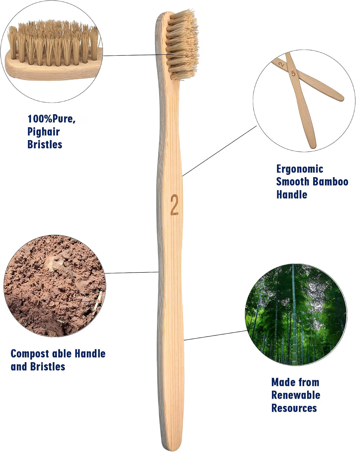 Boar Bristle Toothbrush