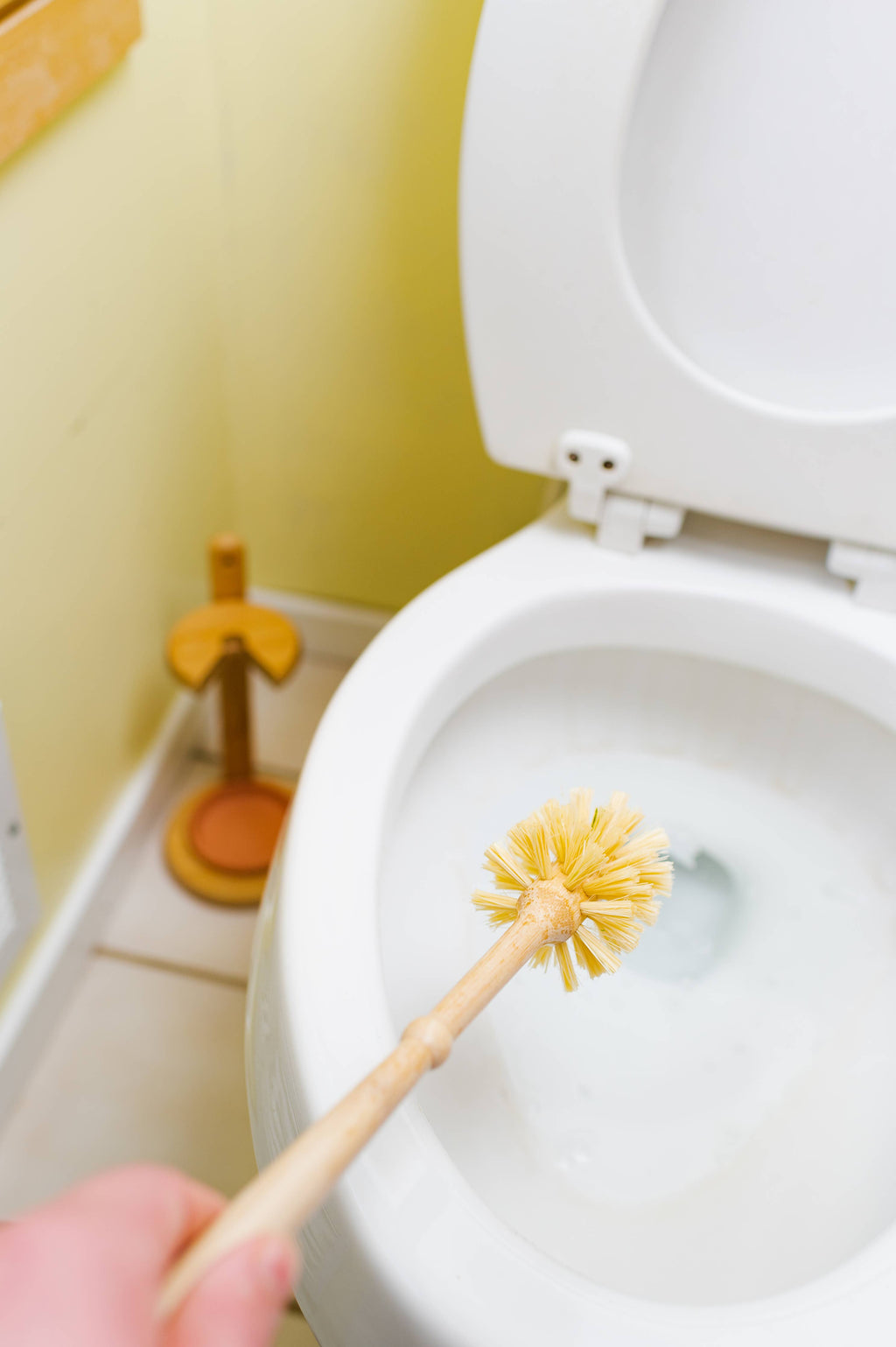 Bamboo Toilet Brush & Stand